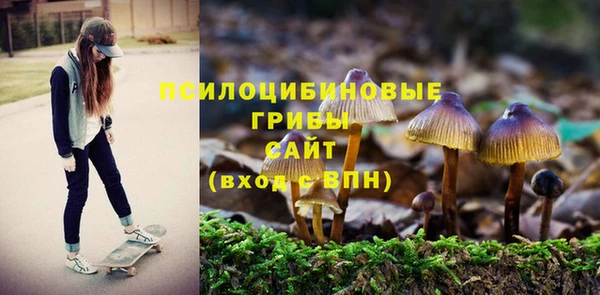 альфа пвп Баксан