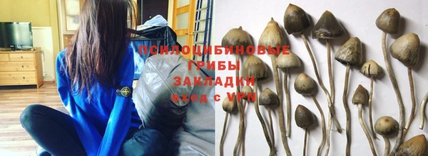 apvp Балахна