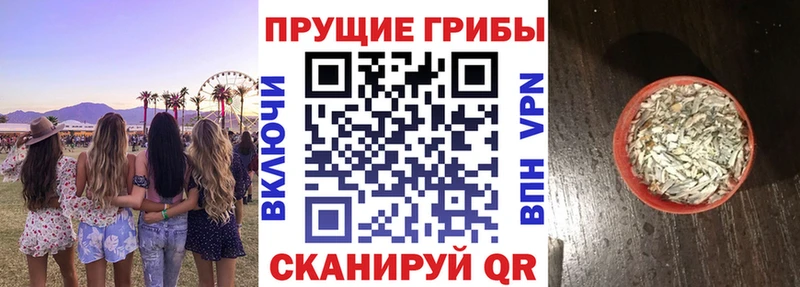 Псилоцибиновые грибы прущие грибы  Краснотурьинск 